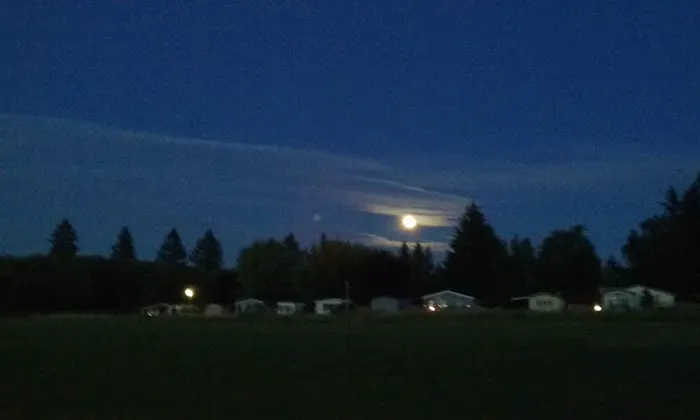 Green Mountain Mobile Ranch Picture 9