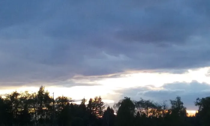 Green Mountain Mobile Ranch Picture 4