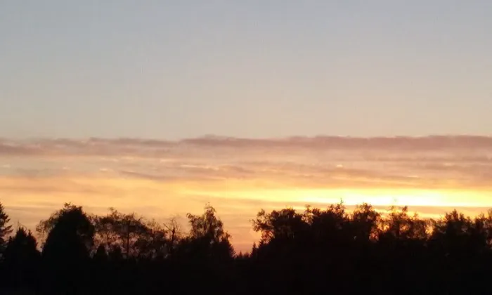 Green Mountain Mobile Ranch Picture 6