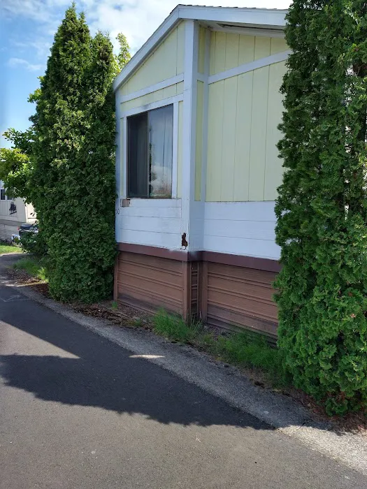 Poplar Mobile Manor Picture 5