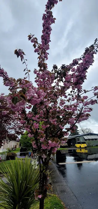 Golden West Mobile Manor MHP Picture 1