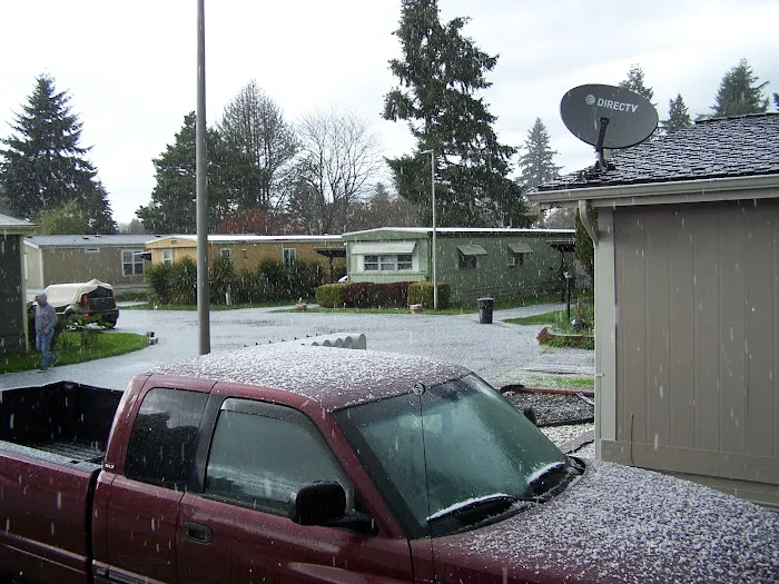 Golden West Mobile Manor MHP Picture 10