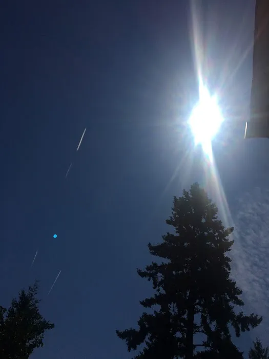 Country Meadows Mobile Home Park Picture 3