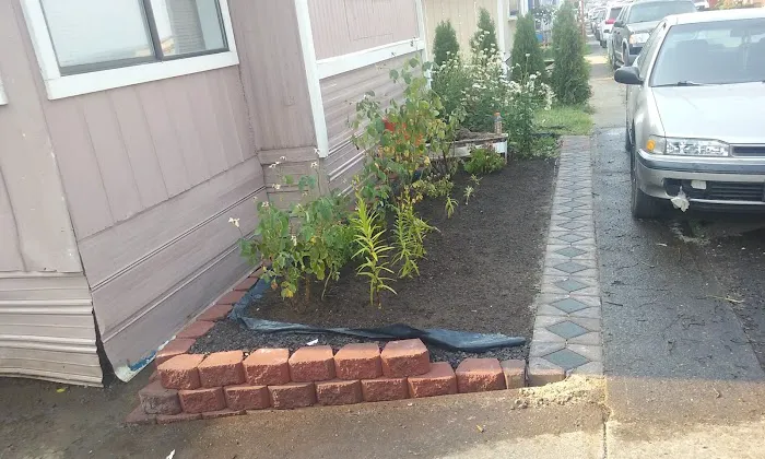 Wood Village Green Picture 5