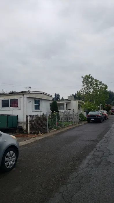 Wood Village Green Picture 10