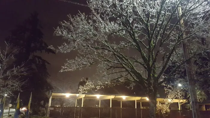 Fir Haven Trailer Park Picture 4