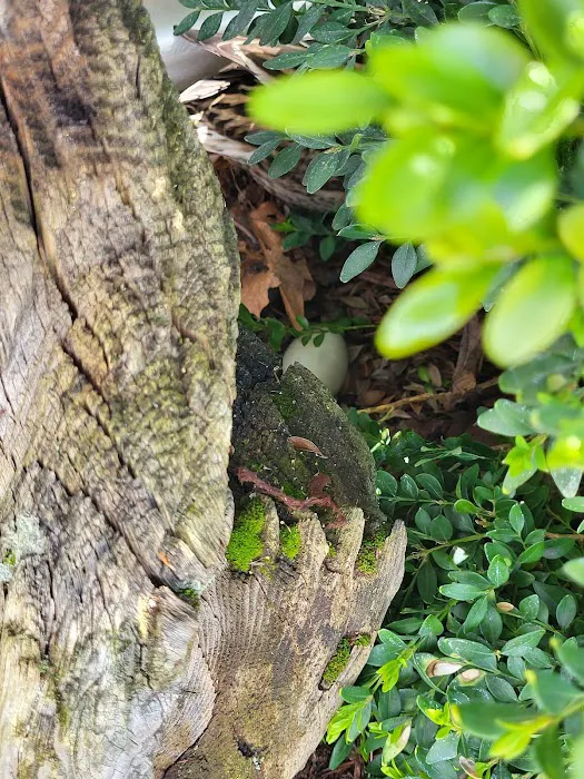 Vancouver Mobile Terrace Picture 6