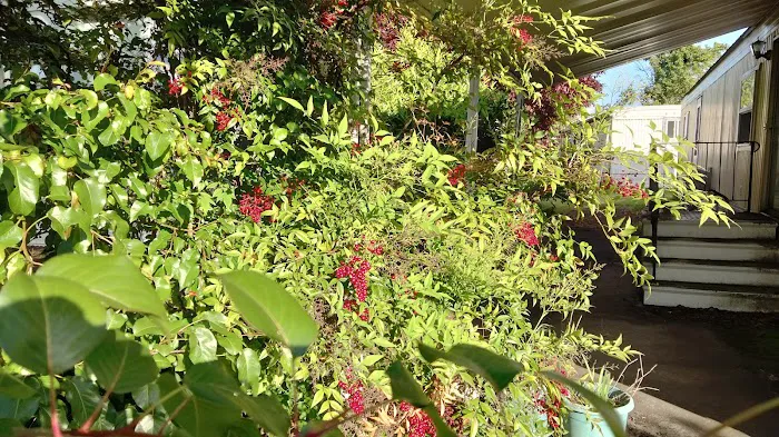 Vancouver Mobile Terrace Picture 1