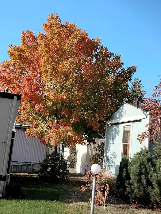 Vancouver Mobile Terrace Picture 2