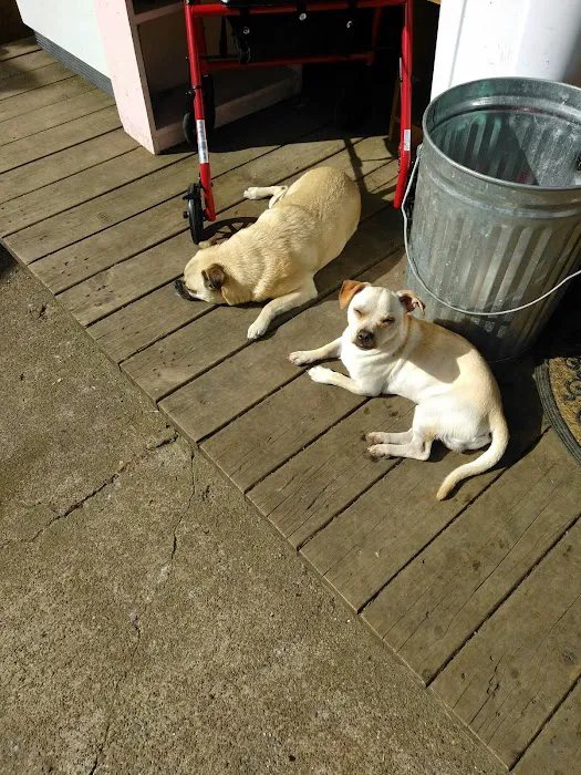 Brass Lamp Trailer Park Picture 1