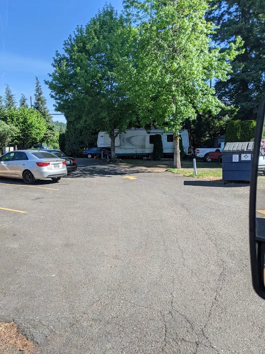 Brass Lamp Trailer Park Picture 4