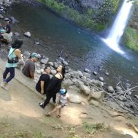 North Shore Estates ico