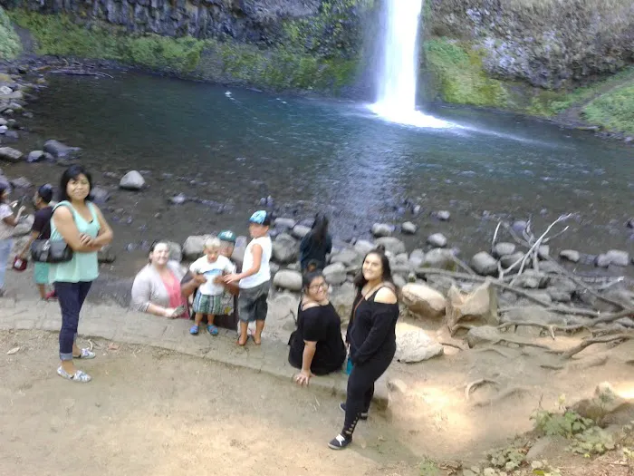 North Shore Estates Picture 2