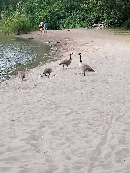 Sandy Riverfront Rv Resort Picture 1