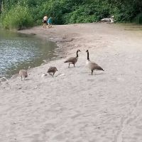 Sandy Riverfront Rv Resort ico