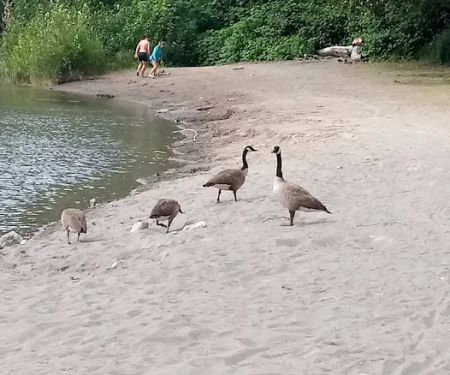 Sandy Riverfront Rv Resort