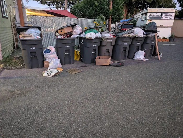 Fir Grove Picture 10