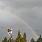 Arbor Mobile Home Park