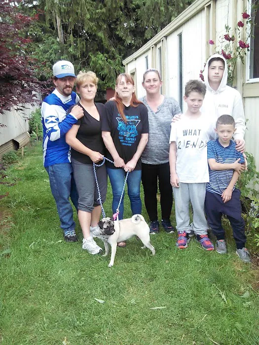 Lantern Lane Mobile Villa Picture 4