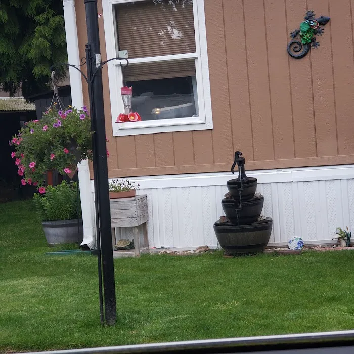 Lantern Lane Mobile Villa Picture 5