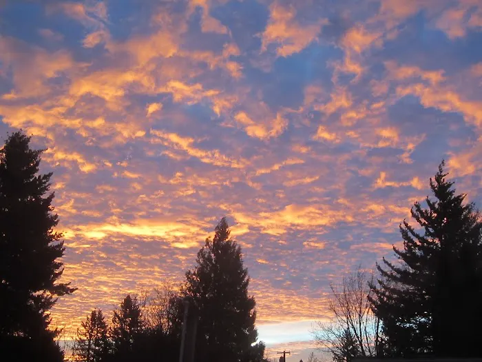 Mobile Estates, Manager: Robert Moffett Picture 4