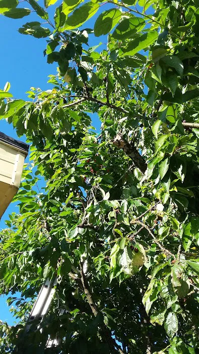 Mobile Estates, Manager: Robert Moffett Picture 1