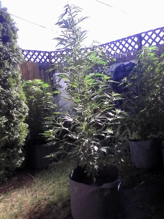 Mobile Estates, Manager: Robert Moffett Picture 2