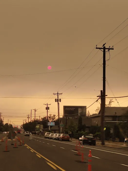 Tall Firs Mobile Home & RV Park Picture 2