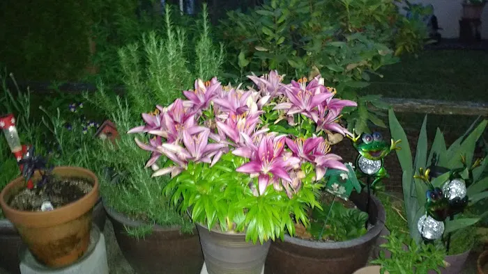 Meadowcrest Farm Estates Picture 2