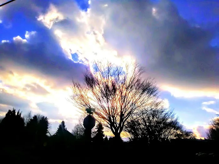 Northwest Mobile Estates Picture 3