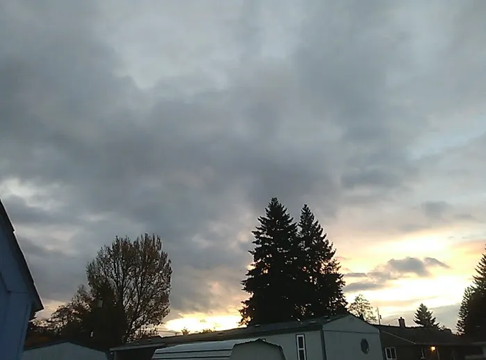 Northwest Mobile Estates Picture 1