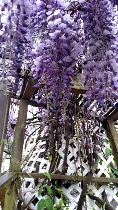 Northwest Mobile Estates Picture 8