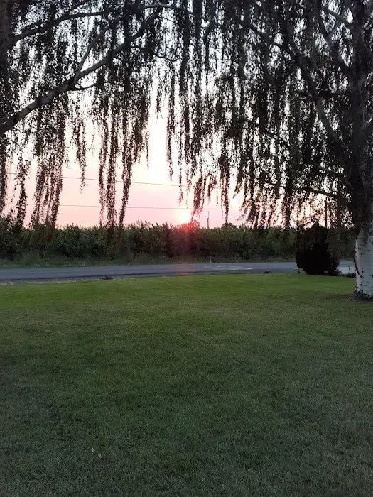 Collective Communities Hazel Dell MHC Picture 4