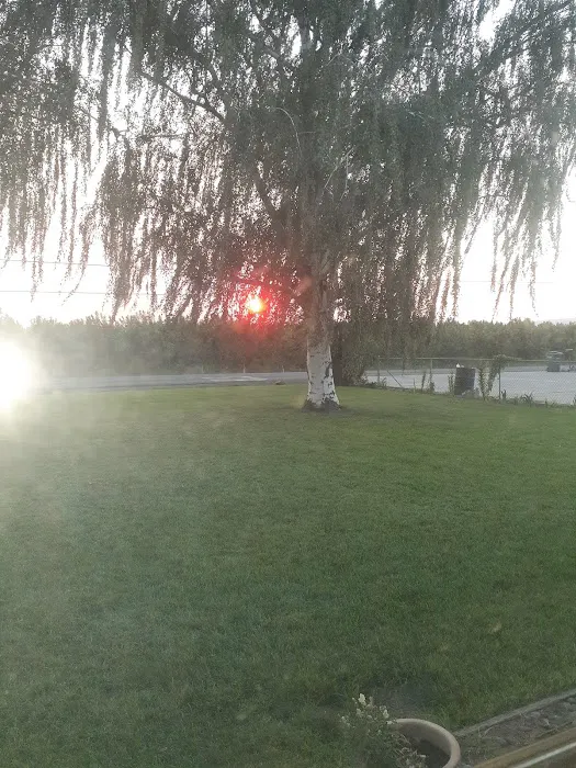 Collective Communities Hazel Dell MHC Picture 7