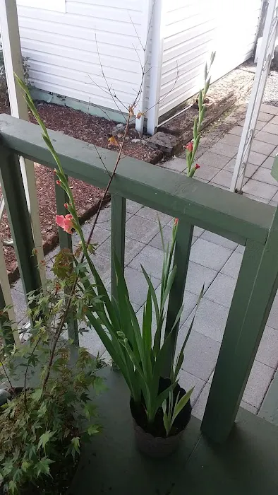 Collective Communities Lazy Z MHC Picture 5