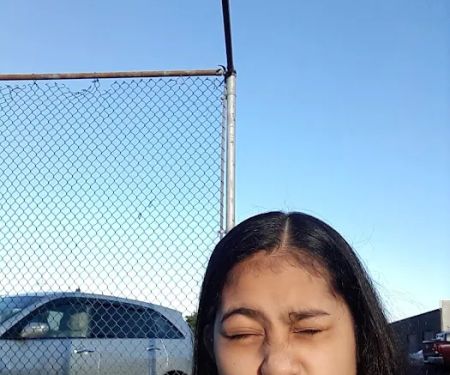 Collective Communities Lazy Z MHC