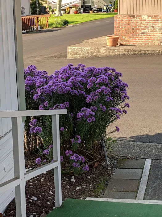 Collective Communities Lazy Z MHC Picture 2