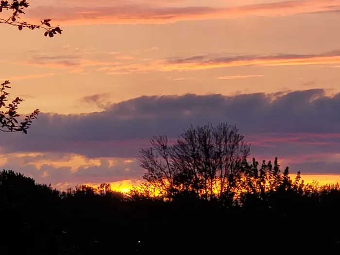 Jantzen Beach RV Park Picture 3