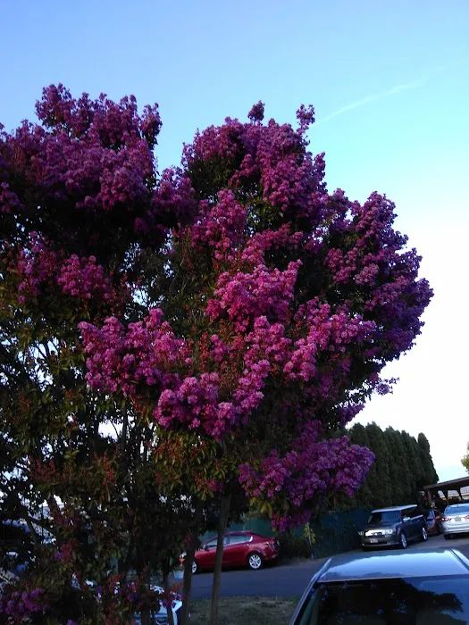 Fox Run RV Park Picture 1