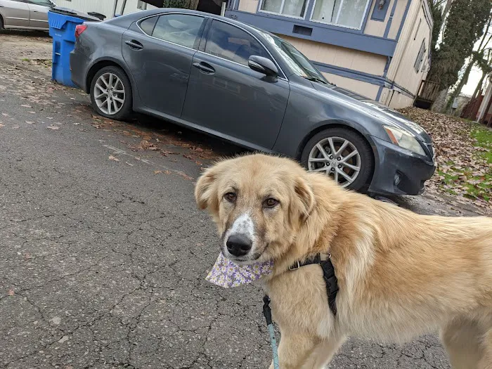 Lakeside Mobile Estates Picture 3