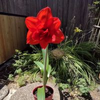 Lakeside Mobile Estates ico