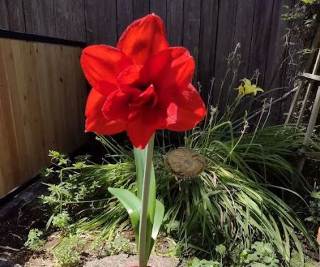 Lakeside Mobile Estates