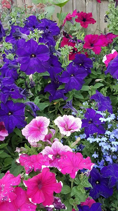 Lakeside Mobile Estates Picture 9