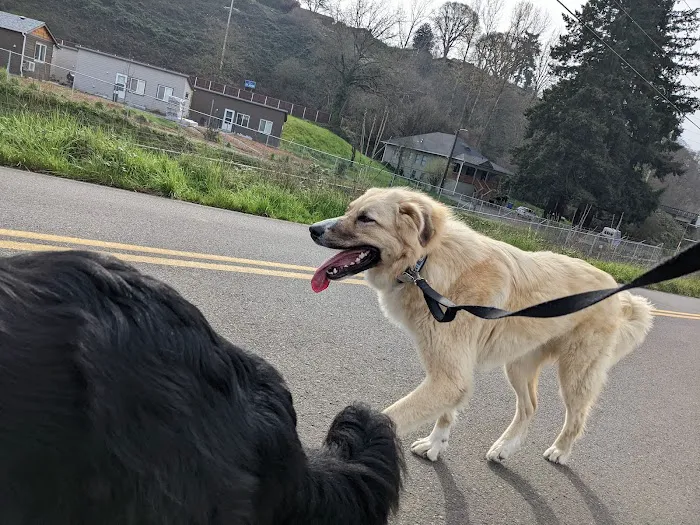 Lakeside Mobile Estates Picture 8