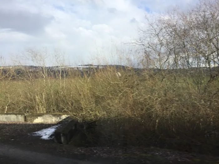 Meadow Verde Picture 4