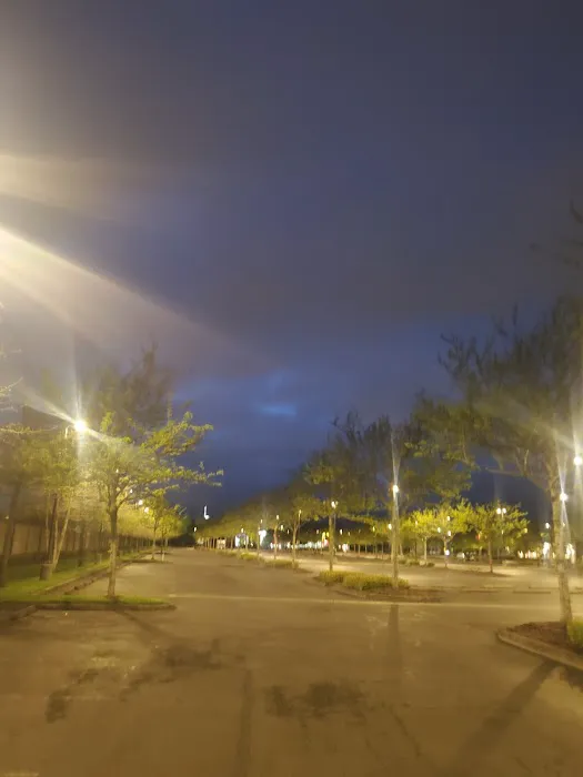 Meadow Verde Picture 1