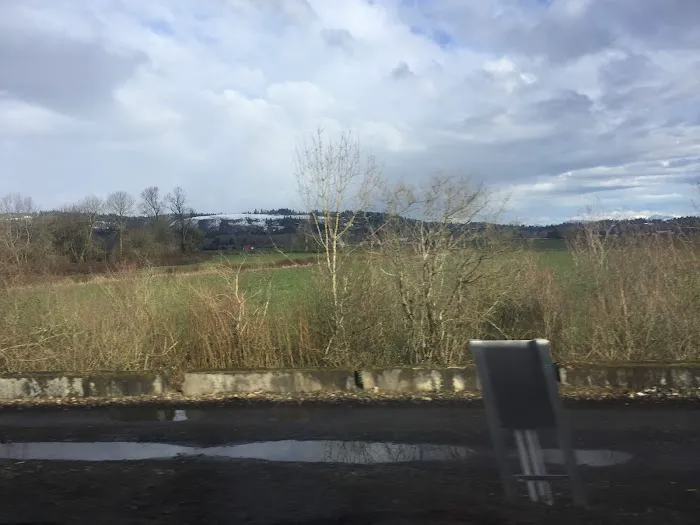 Meadow Verde Picture 2