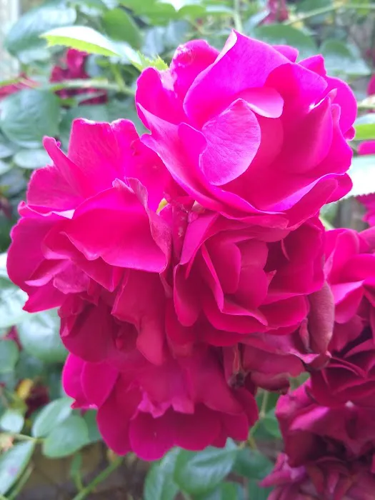 Whisper Creek Picture 2