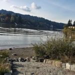 Evergreen Estates MHC