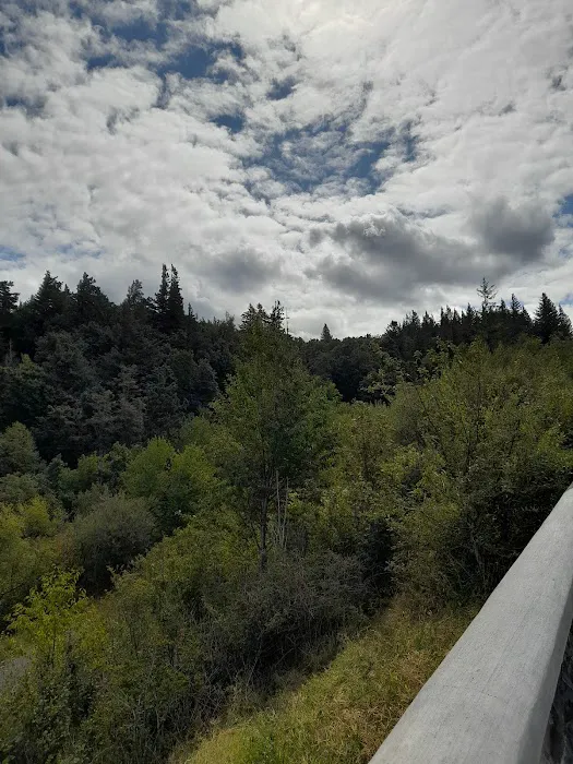 Circle Cedar Court Picture 3